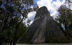 1713-Tikal Temple V